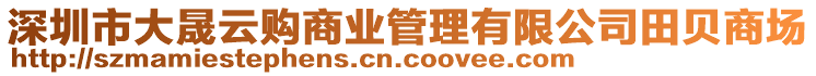 深圳市大晟云購商業(yè)管理有限公司田貝商場