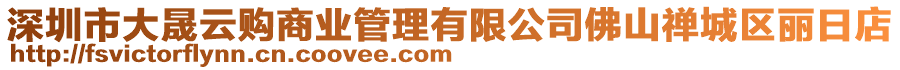 深圳市大晟云購商業(yè)管理有限公司佛山禪城區(qū)麗日店