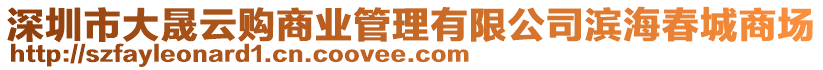 深圳市大晟云購(gòu)商業(yè)管理有限公司濱海春城商場(chǎng)