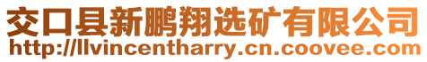 交口縣新鵬翔選礦有限公司