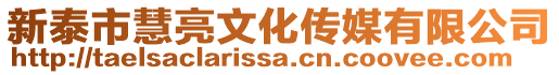 新泰市慧亮文化傳媒有限公司