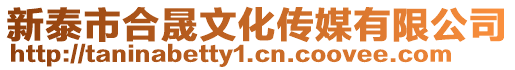 新泰市合晟文化傳媒有限公司