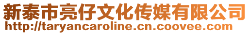 新泰市亮仔文化傳媒有限公司