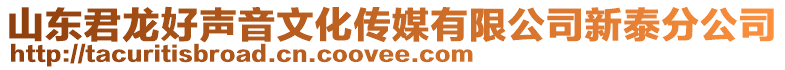 山東君龍好聲音文化傳媒有限公司新泰分公司