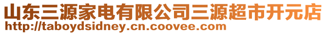 山東三源家電有限公司三源超市開元店