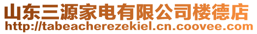 山東三源家電有限公司樓德店