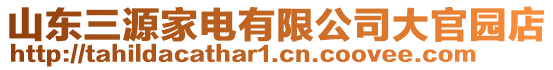 山東三源家電有限公司大官園店