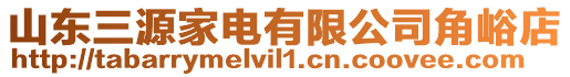 山東三源家電有限公司角峪店