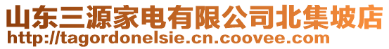 山東三源家電有限公司北集坡店