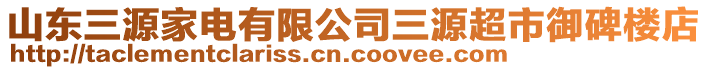 山東三源家電有限公司三源超市御碑樓店