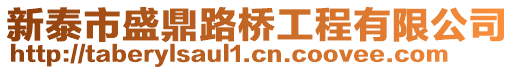 新泰市盛鼎路橋工程有限公司