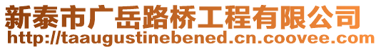 新泰市廣岳路橋工程有限公司