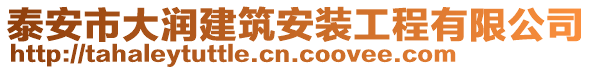 泰安市大潤(rùn)建筑安裝工程有限公司