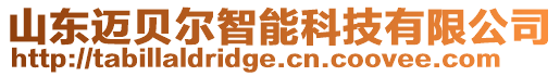 山東邁貝爾智能科技有限公司