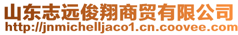 山東志遠(yuǎn)俊翔商貿(mào)有限公司