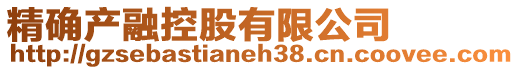 精確產(chǎn)融控股有限公司