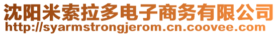 沈阳米索拉多电子商务有限公司