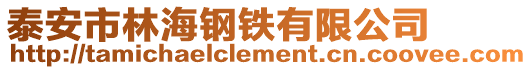 泰安市林海鋼鐵有限公司