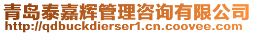 青島泰嘉輝管理咨詢有限公司