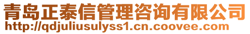 青島正泰信管理咨詢有限公司