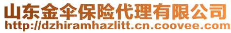 山東金傘保險代理有限公司