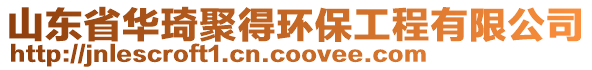山東省華琦聚得環(huán)保工程有限公司