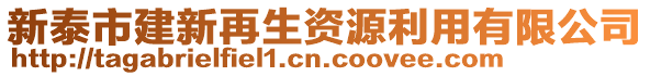 新泰市建新再生資源利用有限公司