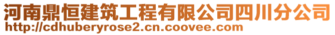 河南鼎恒建筑工程有限公司四川分公司