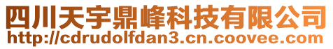 四川天宇鼎峰科技有限公司