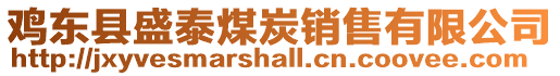 雞東縣盛泰煤炭銷售有限公司