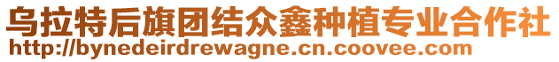 烏拉特后旗團(tuán)結(jié)眾鑫種植專業(yè)合作社