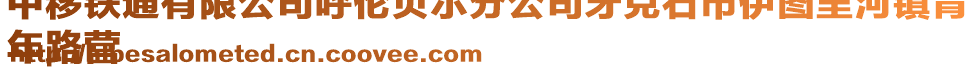 中移鐵通有限公司呼倫貝爾分公司牙克石市伊圖里河鎮(zhèn)青
年路營