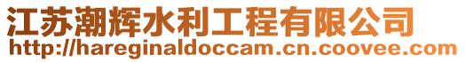 江蘇潮輝水利工程有限公司