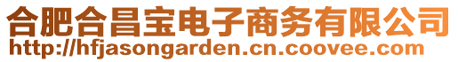 合肥合昌寶電子商務(wù)有限公司