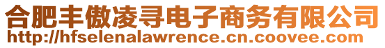 合肥豐傲凌尋電子商務(wù)有限公司