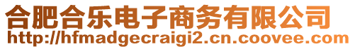 合肥合樂(lè)電子商務(wù)有限公司