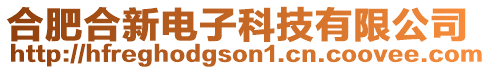 合肥合新電子科技有限公司