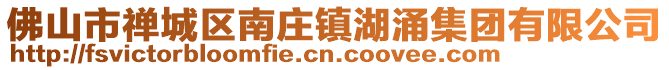 佛山市禪城區(qū)南莊鎮(zhèn)湖涌集團(tuán)有限公司