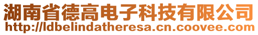 湖南省德高電子科技有限公司