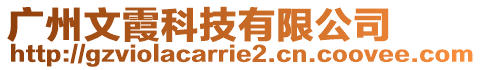 廣州文霞科技有限公司