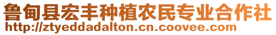 魯?shù)榭h宏豐種植農(nóng)民專業(yè)合作社