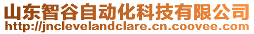 山東智谷自動化科技有限公司