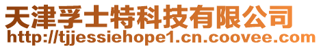 天津孚士特科技有限公司