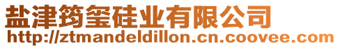 鹽津筠璽硅業有限公司