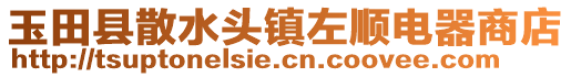 玉田县散水头镇左顺电器商店