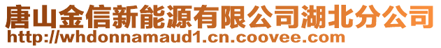 唐山金信新能源有限公司湖北分公司