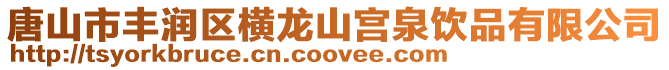 唐山市豐潤(rùn)區(qū)橫龍山宮泉飲品有限公司