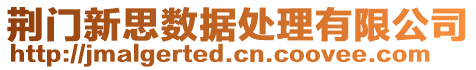 荊門新思數(shù)據(jù)處理有限公司