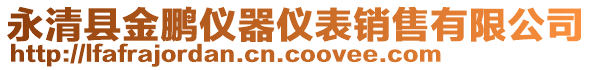 永清縣金鵬儀器儀表銷售有限公司