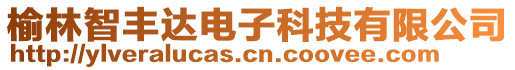 榆林智豐達電子科技有限公司